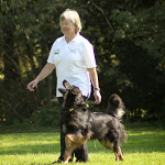 Hovawart Obedience WM 2014
