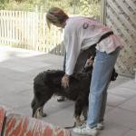 Alice Erscheinungsbildbeurteilung