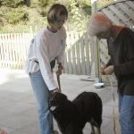 Alice Erscheinungsbildbeurteilung