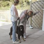 Alice Erscheinungsbildbeurteilung