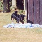 Tolja im Flaschenbad