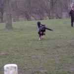 Bonny mit Beißwurst