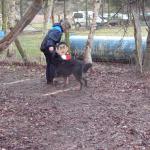 Bonny beim Schlitten