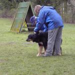 Tolja Erscheinungsbildbeurteilung