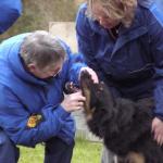 Amona (Tolja) beim Zähnezeigen