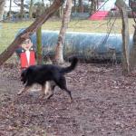 Tolja beim Schlitten