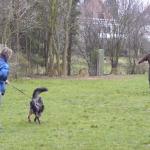 Tolja Schutztrieb (alte ZTP)