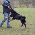 Jule Spiel mit Nico