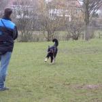 Jule Spiel mit Nico