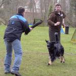 Jule Beutetrieb mit Fremdperson