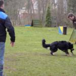 Jule Beutetrieb mit Fremdperson