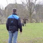 Jule Beutetrieb mit Fremdperson