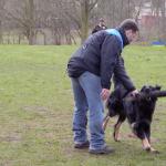 Jule Beutetrieb mit Fremdperson