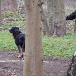 Jule beim Schlitten