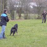 Jule Schutztrieb (alte ZTP)