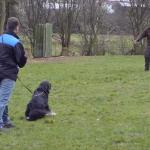 Jule Schutztrieb (alte ZTP)