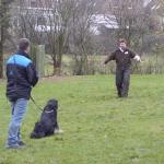 Jule Schutztrieb (alte ZTP)