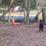 Alice beim Schlitten