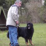 Anquin Erscheinungsbild