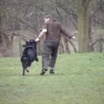 Anquin Beutetrieb mit Fremdperson