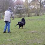 Anquin Beutetrieb mit Fremdperson