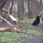 Anquin fallende Rasselkette