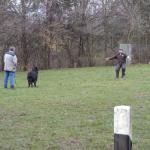 Anquin Schutztrieb (alte ZTP)