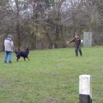 Anquin Schutztrieb (alte ZTP)