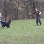 Anquin Schutztrieb (alte ZTP)