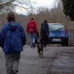 Anschlie&szlig;end ein gemeinsamer Spaziergang...