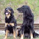 Banja und Aruna von der Megalithsichel