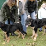 Baron und Bruno