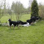 ... und wie w&auml;re es mit einem gemeinsamen Bad?