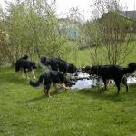 ... und wie w&auml;re es mit einem gemeinsamen Bad?