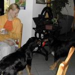 Bonny und Banja