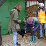 Baron Erscheinungsbild