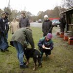 Baron Erscheinungsbild