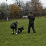 Baron beim Spiel
