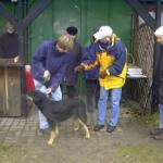 Banja Erscheinungsbild