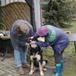 Bendix Z&auml;hnezeigen