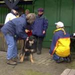 Bonny Erscheinungsbild