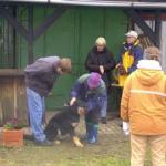 Brodo Erscheinungsbild