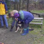 Bruno Z&auml;hnezeigen