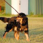 Bonny August 2014