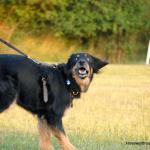Bonny August 2014