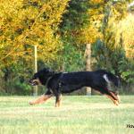 Bonny August 2014