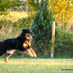 Bonny August 2014