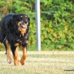 Bonny August 2014