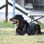Bonny August 2014