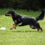 Obe WM Saalfelden 2012